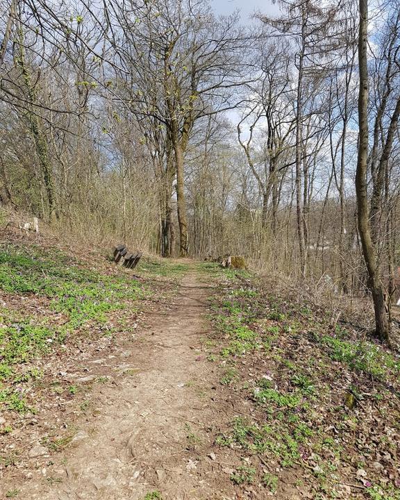 Biergarten zum Bergschlösschen